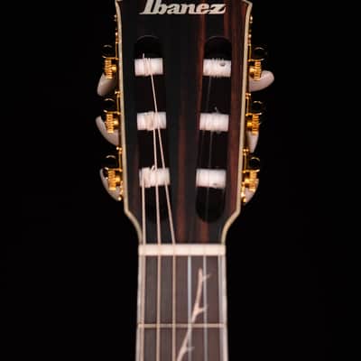 Ibanez TOD10N Tim Henson Nylon Signature Model, Transparent Black Flat image 9