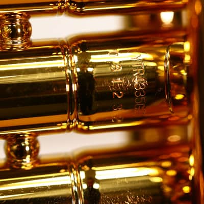 Yamaha YTR-4335GII Intermediate Trumpet - Lacquered Brass image 3