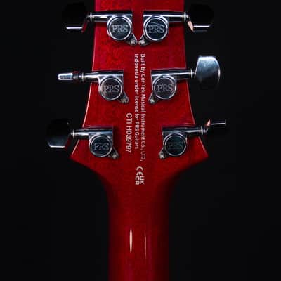 PRS SE DGT Standard, Moons, Vintage Cherry image 19