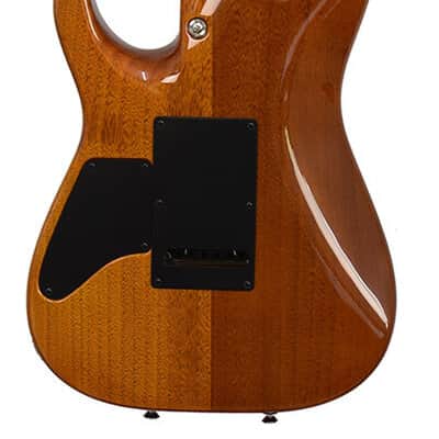 Tom Anderson Arc Angel Player Honey Shaded FM RW image 3