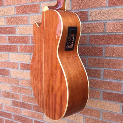Johnson JB-2 4-F Fretless Acoustic-Electric Bass 2010's - Natural image 18
