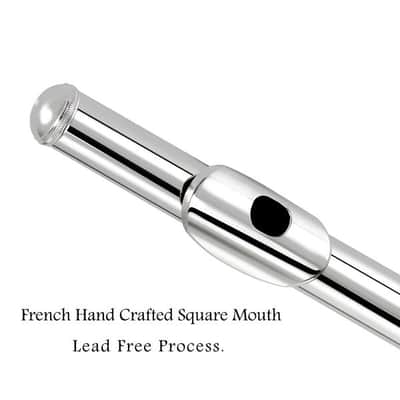 Closed Hole C Flute 16 Key - Nickel Flute Set With Carrying Case image 3