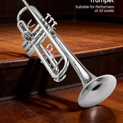 Bb Trumpet for Beginners, Brass Student Trumpet Kit with Case, 7C Mouthpiece, Cleaning Kit, Standard B Flat Instrument - Nickel image 6
