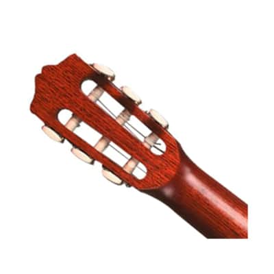 Cordoba Protégé CP100 Guitar Pack image 4