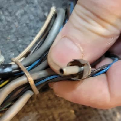 Immagine 8 pin to 11 pin to 6 pin Leslie rotating speaker cable. - 5