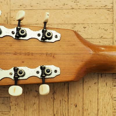 VIDEO! Framus Sorento 6 (Atlantik) ES-style - 1970 made in Germany - pro setup, player ready! image 11
