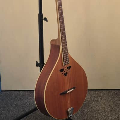 Ozark 'Celtic' Octave Mandola 2242 - Spruce top, mahogany sides imagen 3