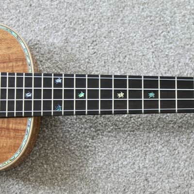 Big Island Ukulele Co Solid Golden Koa Concert Ukulele KX-CTG  W/ Carrying Case image 19