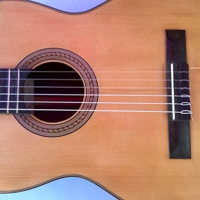 Guitare Favino  Classique-Nylon 70's image 2