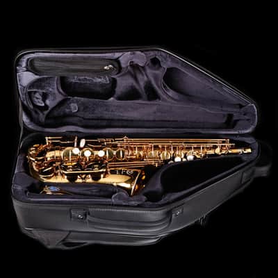 Selmer Paris 82SIGF HSP Professional Alto Saxophone, Vintage Matte image 6
