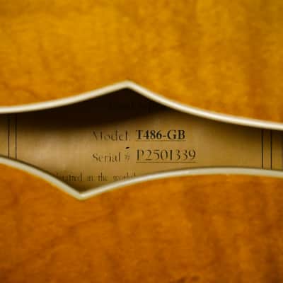 Eastman T486 Thinline Semi-Hollowbody Electric Guitar- Goldburst 2026 (P2501339) image 15