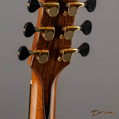 2019 Taran DS5, Macassar Ebony/Master Grade Swiss Moon Spruce image 23