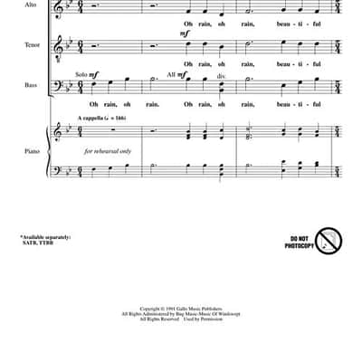 Rain Rain Beautiful Rain Satb A Cappella Ladysmith Black Mambaz image 2