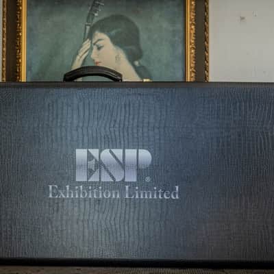 2017 ESP Stream-GT CTM Exhibition Limited, NAMM Exclusive  - 1 of 1 image 24