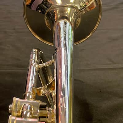 Schagerl Salzburg Bb rotary trumpet image 14