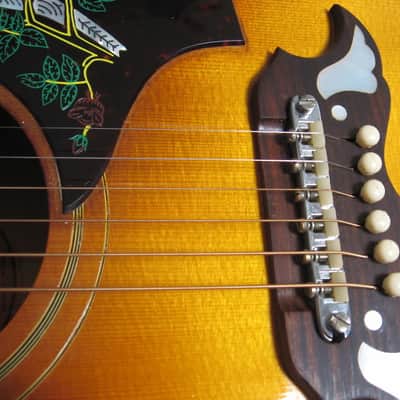 Alvarez 5025 ( Dove ) 68-69 Rosewood/spruce image 17