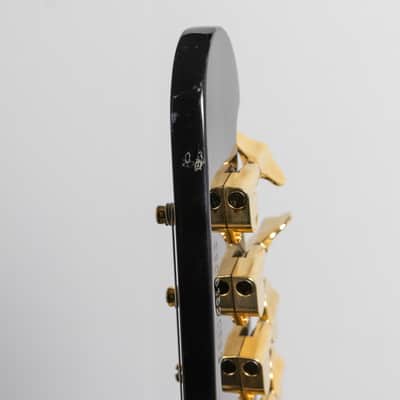 Epiphone Rex Brown Thunderbird Bass, Ebony | Demo image 22