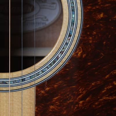 Washburn D100SWE Dreadnought Acoustic Electric Guitar with Hardshell Case image 5