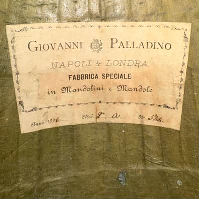 Umberto Ceccherini Mandola / Octave Mandolin (Giovanni Palladino Label) 1896 image 22