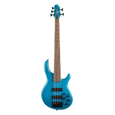 Fernandes Tremor 5 Deluxe | Reverb