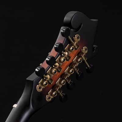 Washburn M108SWK Mandolin w/Case image 10