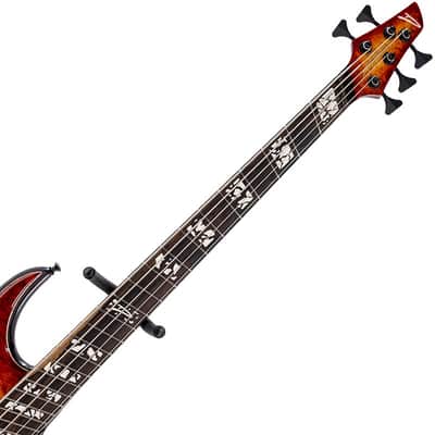 DINGWALL Z3 Cello Hip 5st w/ Burl Maple Top, Roasted Ash Neck, Ziricote Fingerboard/ 2022 NAMM Model image 4