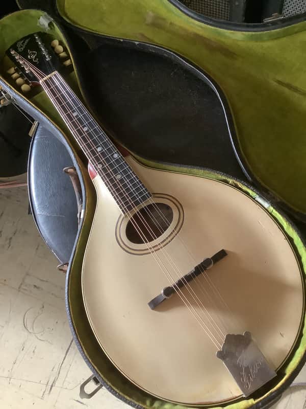 Gibson A-3 Mandolin 1920 image 1