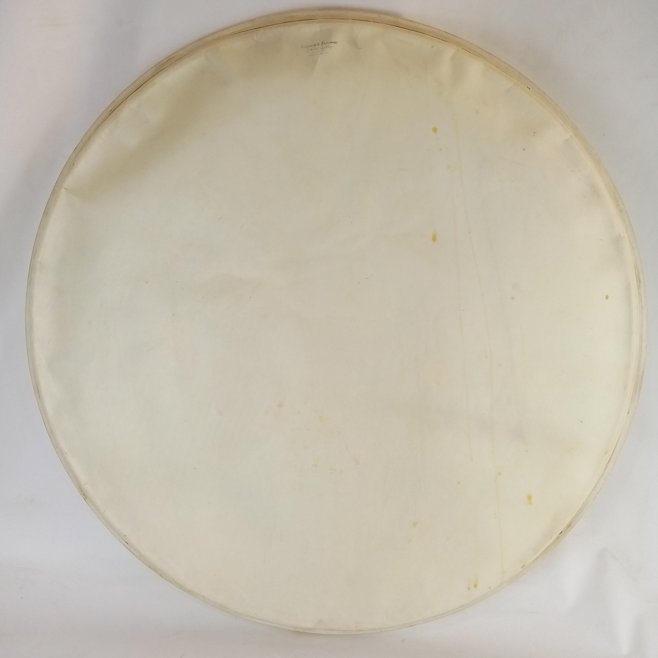 Ludwig&Ludwig 26" Calf Skin Bass Drum Head "Selected Quality" Elkhart Vintage40s — main photograph