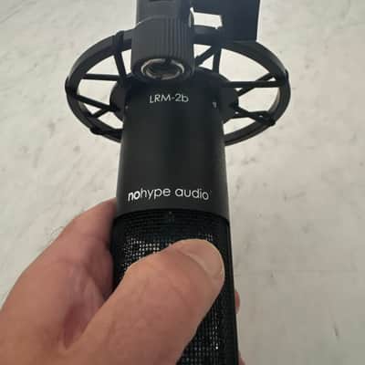 nohype audio LRM 2B image 7