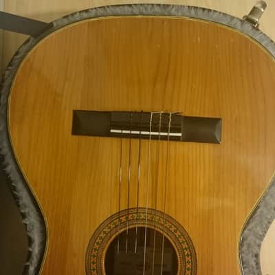 Lumanog Berdejo Classical Acoustic Guitar Exotic Rosewood 1960's image 21
