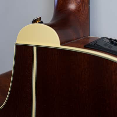 Takamine P3FCN Pro Series 3 FCN Cutaway Classical Nylon-String (2012) w/ OHSC image 15