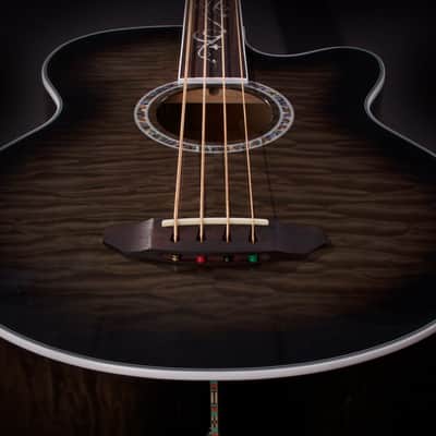 Michael Kelly Dragonfly 4 Fretless Acoustic Bass w/ Smoke Burst Finish MKD4FSBSFR image 2