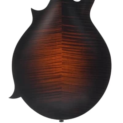 Collings MF F Style Mandolin 2022 image 8