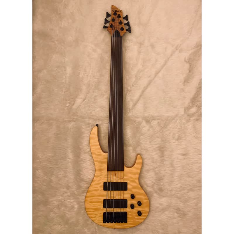 Brice 6 String Fretless Bass Very Good Condition image 1