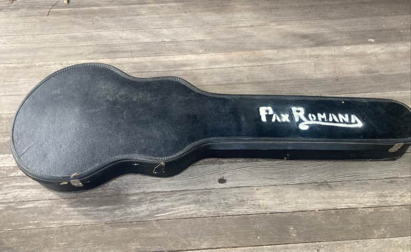 Gibson ES-335 12 String Soft Case 1960s Bild 1