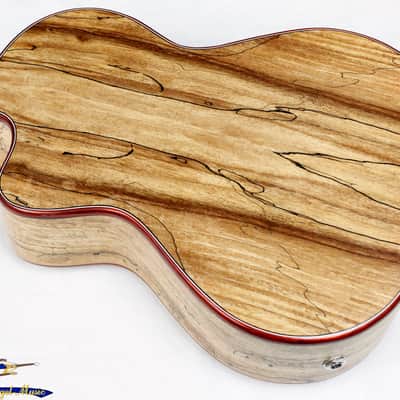 Cordoba 24T-CE Tenor Single Cutaway Acoustic-Electric Ukulele Cedar/Maple #32759 image 7