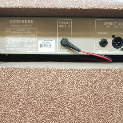 Genz Benz Shenandoah Jr 35 Watt Acoustic Amplifier image 3