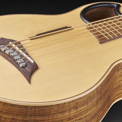 Warwick Alien 6-String Acoustic Bass Acoustic Bass image 6
