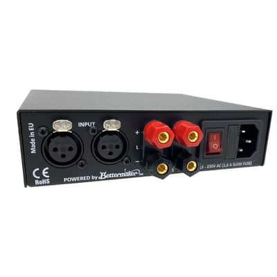 Auratone A2 30 Amplificatore image 3