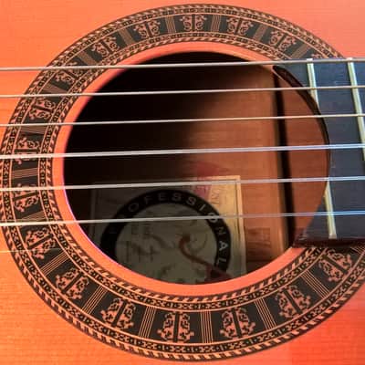 Alvarez Professional Series Model 5202 Classical Guitar -- Mint Condition; w/ SKB Hard Shell Case image 18