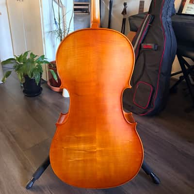Hidersine cello Vivente 4/4 finetune 2000 - Semi gloss image 2