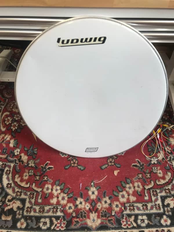 Ludwig Striders 28” bass drum head image 1