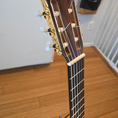 Shelton Farretta Concert Guitar 1974 - Flamenco - Cedar top, Cypress back and sides, Ebony Fretboard image 5