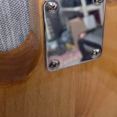 2013 Tokai Breezysound Telecaster MIJ (Natural Ash) w/ Gator Hardshell Case image 5