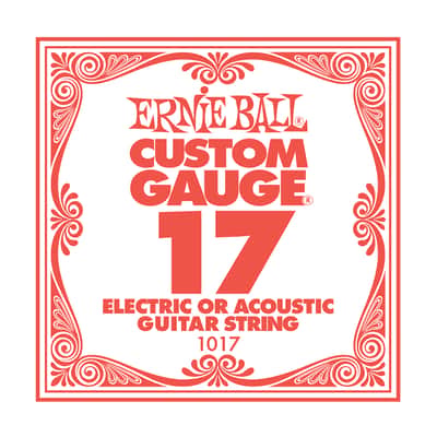 Ernie Ball P01017 .017 Plain Steel Electric/Acoustic Guitar Strings (6-Pack)