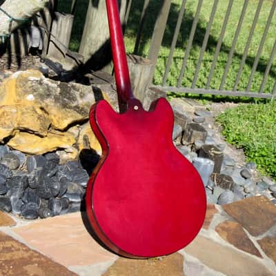Epiphone E212TV Sheraton “Special Order” 1967 See Thru Cherry image 3