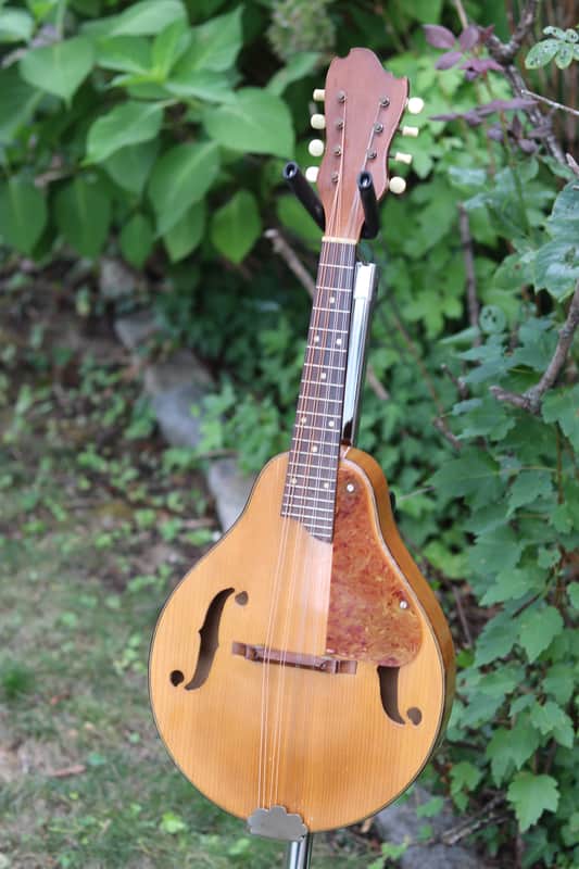 Kay/Harmony mandolin 1950's - natural image 1