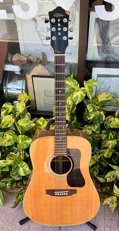 Aria Pro ll PW55 1970s Acoustic Guitar image 1