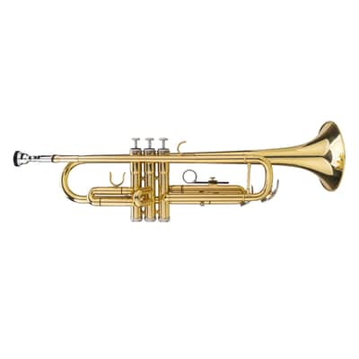 Drop B Tone Adjustable Trumpet Gloves Set Plaint Golden-SY05103250 image 7