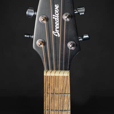 Breedlove Discovery S Companion (CLEARANCE) image 5